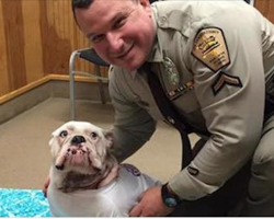 Deputy Rushes To Save Bulldog From Bleeding To Death