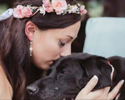 Bride’s dying pet dog lives long enough to walk her down the aisle