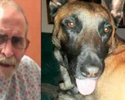 Veteran Dying From Cancer Makes A Public Plea To Help Find His Missing Service Dog