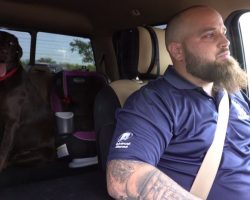 Army Veteran Can’t Leave House Because Of PTSD, But His Chocolate Labrador Helps Him Every Day
