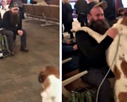 Dog sees bearded man in airport & freaks out when he recognizes his face