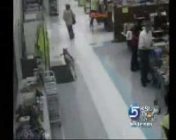 Dog walks into store on Christmas day, steals a bone in hilarious fashion