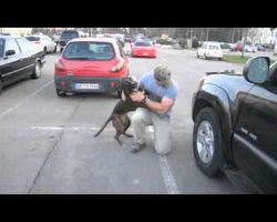 Dog Welcomes Home Soldier Dad. Excited Is An Understatement!