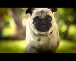 DORITOS Unveils Superbowl Commercial “Pug Attack”