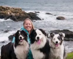 She knew she would die, instead of thinking about herself, her final wish went to her puppies!