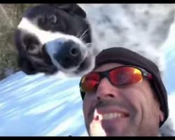 Guy Body-Sleds Down Huge Hill With Dog Then Sends His Wife Hysterical Video
