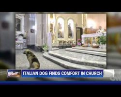 Italian Dog Finds God, Frequents Church