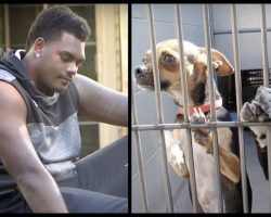 NFL Player Walks Into Shelter And Asks For The Least Adoptable Dog, Here’s Who Came Home With Him
