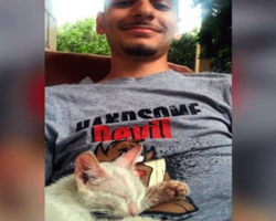 Guy Takes A Nap Outside — Wakes Up With A Kitten On His Stomach