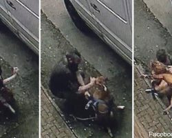 Man walking dog suddenly stops to brutalize her, unaware he is being recorded