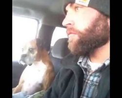 OMG… If Looks Could Kill… This Boxer’s Reaction Is Hilarious!