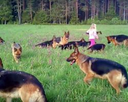 Little Girl Plays With 14 German Shepherds – Proves To Be A Natural Dog Whisperer