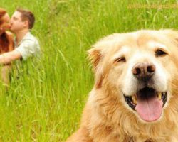 The 19 Most Awkward Dog Family Photos Of All Time!