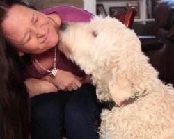 Why Does My Dog… Lick Me? Hint: It’s NOT Simply To Show Affection