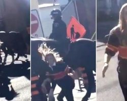 WATCH: Young Woman Smacks Police Horse, Doesn’t Anticipate Horse’s Response