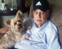Helpless Father With Alzheimer’s And Dog Suffer Unimaginable Cruelty Due To Family