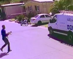 Trusted Cable Guy Betrays Family’s Trust, Caught On Camera Stealing Family Dog