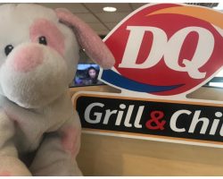 Dairy Queen Hopes Social Media Will Reunite Child With Long Lost Stuffed Dog