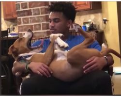 Dog Puts The Moves On Mom’s Boyfriend & The Internet Can’t Stop Watching
