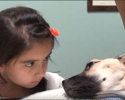 She Stares Into The Eyes Of A Dying Dog. What Follows Seconds Later Is A Miracle!