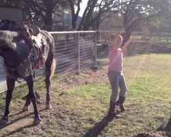 Little Girls Start Dancing To Popular Song, But It’s The Horse That Has The Internet In Laughter