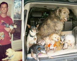 Man Devotes His Life To Adopting Old Dogs Who Can’t Find Forever Homes