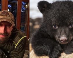 Father and son shoots a hibernating mama bear and her cubs in their den – then proudly pose for photos