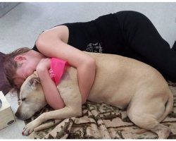 Mom Shares Last Day With Dying Dog, Their Final Goodbye Shows What True Love Is