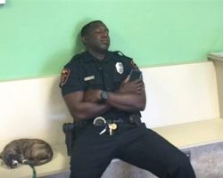 Officer Saves Puppy, Falls Asleep Waiting By Her Side After A Long Shift