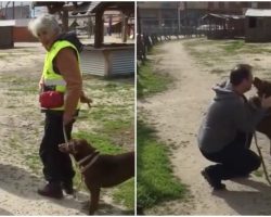 Little Dog Was Lost And Lonely For Years, Watch The Heart-Wrenching Moment She Smells A Familiar Smell