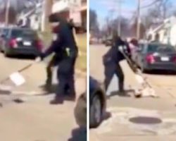 Video Surfaces Showing Police Tazing Terrified Dog Again & Again, Causes Outrage