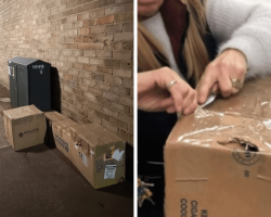 Woman finds boxes shut tight with tape by trash, discovers 11 animals trapped inside