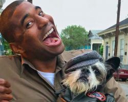 UPS Driver Made It His Goal To Take A Pic With Every Dog On His Route