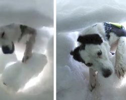 Man buried alive in the snow films the tearful moment a rescue dog digs him out