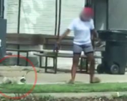 Horrified Motorist Recorded Woman Casually And Publicly Treating Her Dog Like Trash