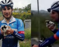 Cyclist Finds Kitten Abandoned In Trash Bag And Steps In To Change Its Life Forever