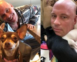 Chihuahua Saved Man’s Life After Divorce— So, He Devoted His Life To Saving Other Little Dogs