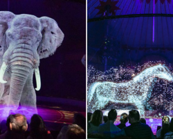 German Circus Now Using Holograms Instead Of Live Animals For A Cruelty-Free Magical Experience