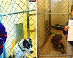 Little Boy’s Act Of Kindness Inspiring Others To Pay It Forward To Shelter Dogs