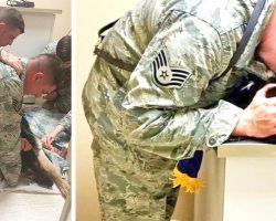 Airman Holds Dying Military Dog, Then Boss Orders Staff To Get American Flag Quick