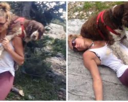 Woman That Carried 55-lb Hurt Dog Down A Mountain For 6 Hours, Cannot Let Go