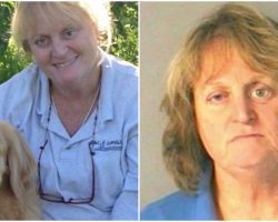 Woman Arrested After She Pushed Her Senior Lab Into A Lake & Watched Him Drown