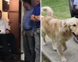 Man arrives to what he thinks is a meeting, gets a service dog instead