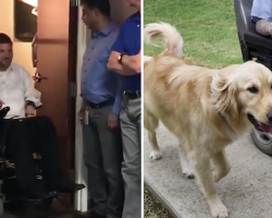 Man Thinks He’s Going To A Meeting, Gets A Service Dog Instead