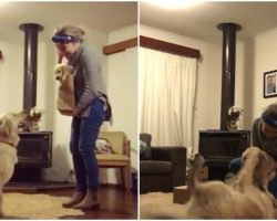 Dog Has The Most Heartwarming Reaction When Mom Brings Home A New Puppy