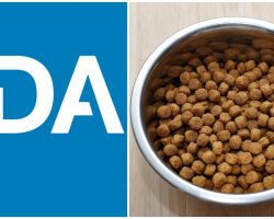 Breaking News: FDA Released Listing of Dog Food Brands Associated With Heart Disease (DCM)