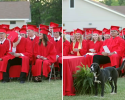 Grads Burst Out With Laughter As Dog Steals The Show During Ceremony