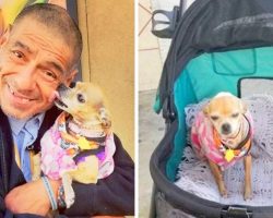 Police Snatch Away Homeless Man’s Pooch, She Was His Only Family In The World