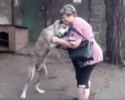 Dog Who Was Lost For Years Is So Happy To See His Best Friend Again