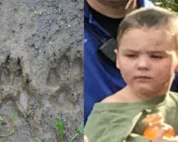2-Yr-Old Boy Vanishes And Police Followed Paw Prints Through The Woods And Solve His Case